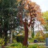 Memoriam-Garten Grevenbroich Elsen